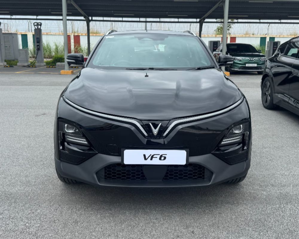 VinFast VF6 और VF7 