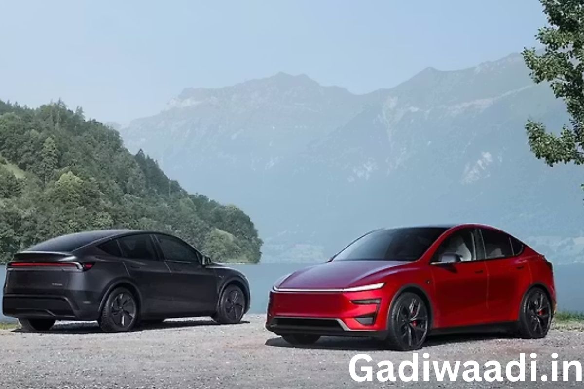Tesla Model Y Performance