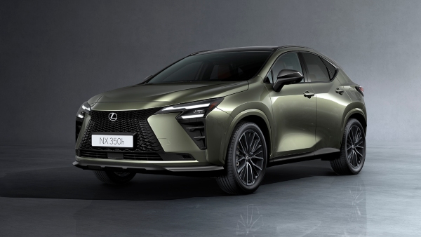 Lexus NX cabin